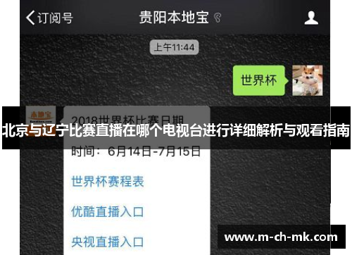 北京与辽宁比赛直播在哪个电视台进行详细解析与观看指南